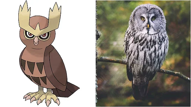 Noctowl - Owl