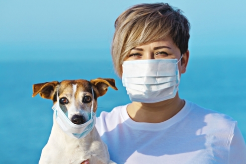 A New Coronavirus Can Make human Sick From Dogs